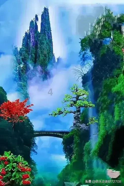 救援男厨师