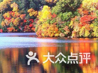 巧虎踢足球终结版