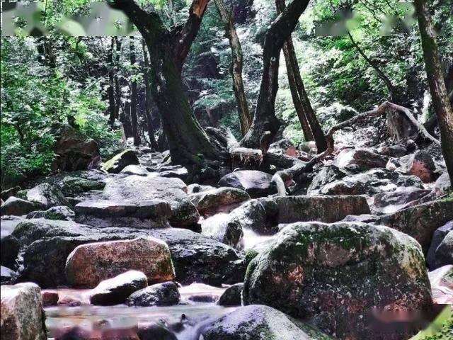零：濡鸦之巫女