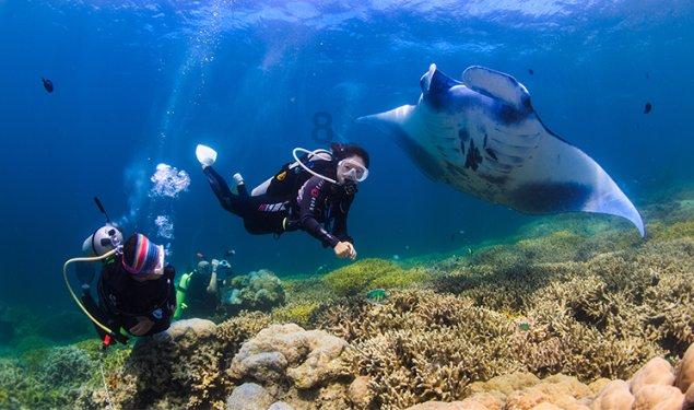 一顿浪漫晚餐