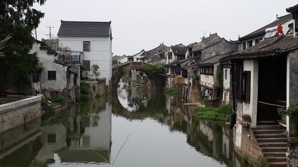 虎胆熊威3